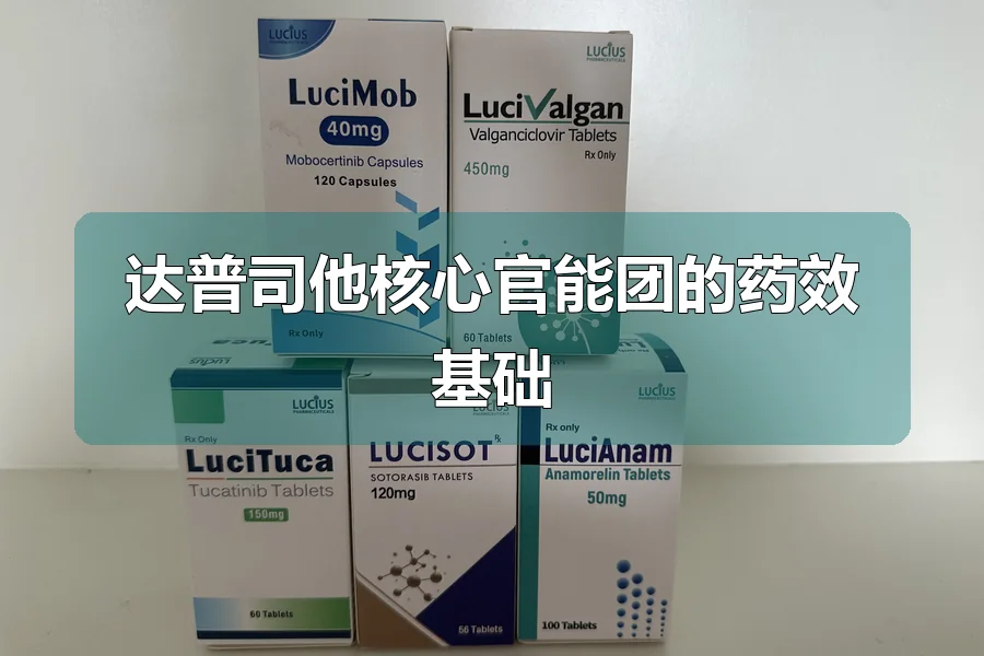 达普司他核心官能团的药效基础